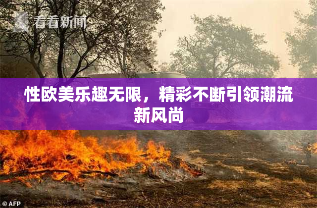 性欧美乐趣无限，精彩不断引领潮流新风尚