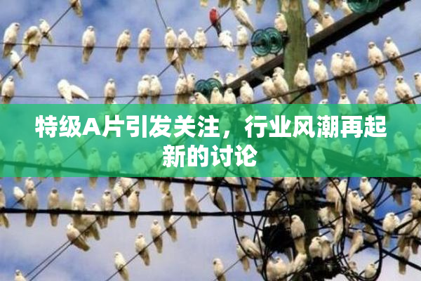 特级A片引发关注，行业风潮再起新的讨论