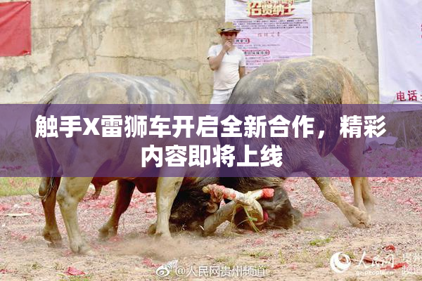 触手X雷狮车开启全新合作，精彩内容即将上线