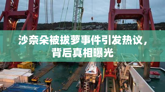 沙奈朵被拔萝事件引发热议，背后真相曝光