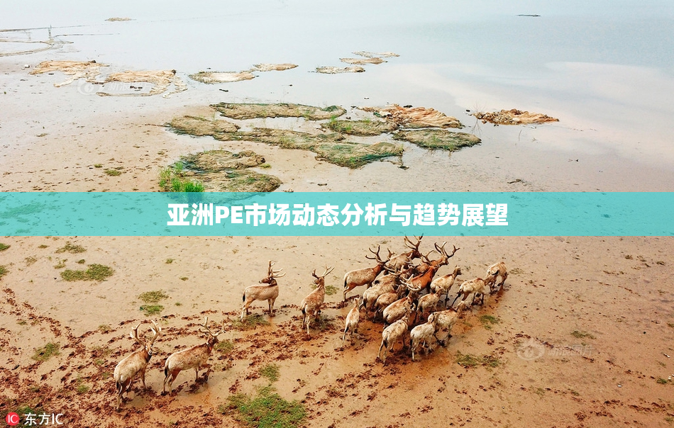 亚洲PE市场动态分析与趋势展望