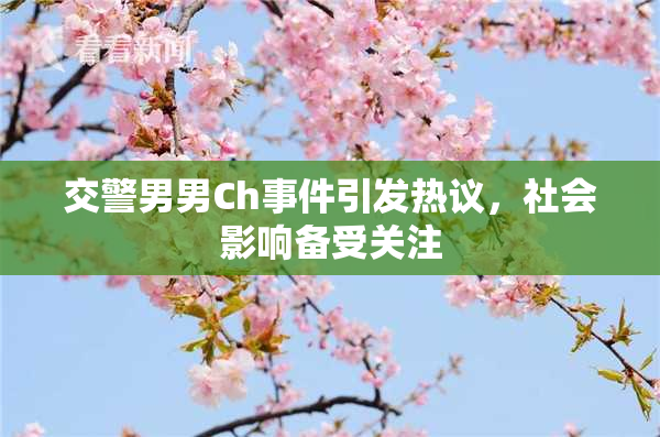 交警男男Ch事件引发热议，社会影响备受关注