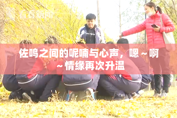 佐鸣之间的呢喃与心声，嗯～啊～情缘再次升温