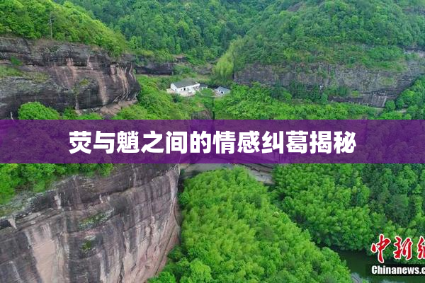 荧与魈之间的情感纠葛揭秘