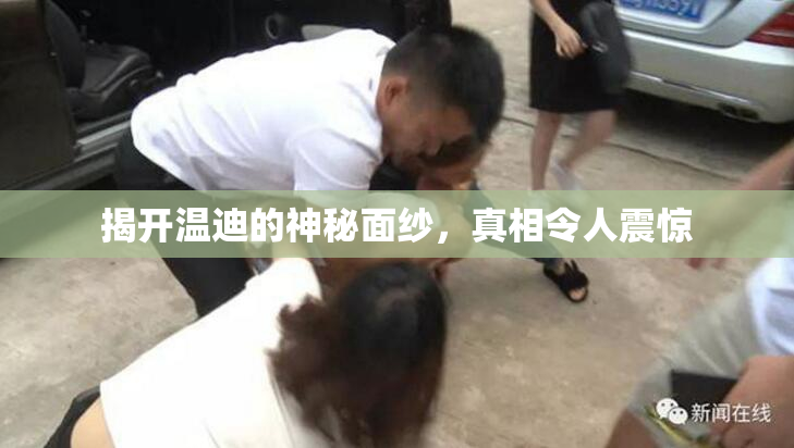 揭开温迪的神秘面纱，真相令人震惊