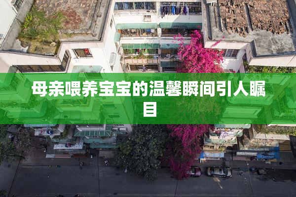 母亲喂养宝宝的温馨瞬间引人瞩目