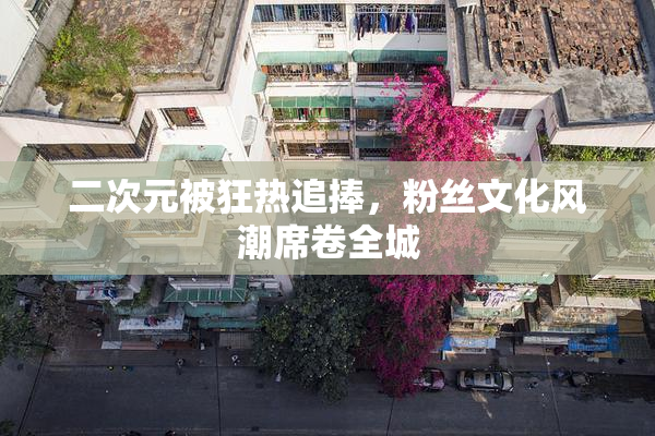 二次元被狂热追捧，粉丝文化风潮席卷全城