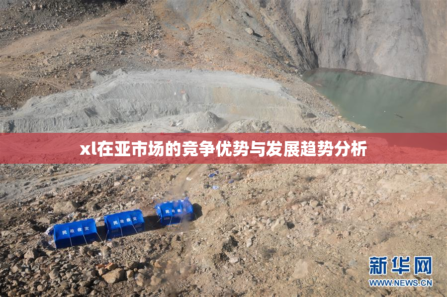 xl在亚市场的竞争优势与发展趋势分析