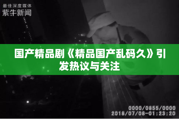 国产精品剧《精品国产乱码久》引发热议与关注