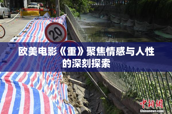 欧美电影《重》聚焦情感与人性的深刻探索
