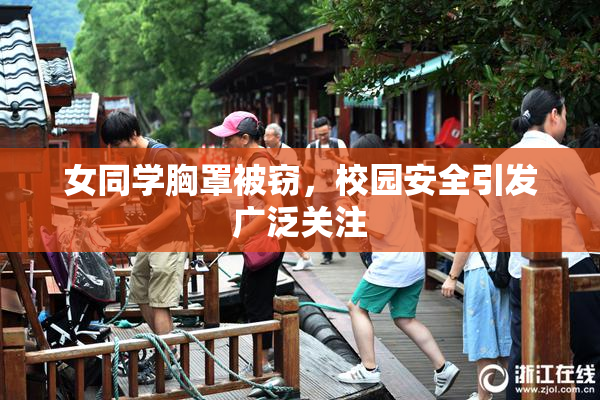 女同学胸罩被窃，校园安全引发广泛关注