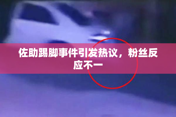 佐助踢脚事件引发热议，粉丝反应不一