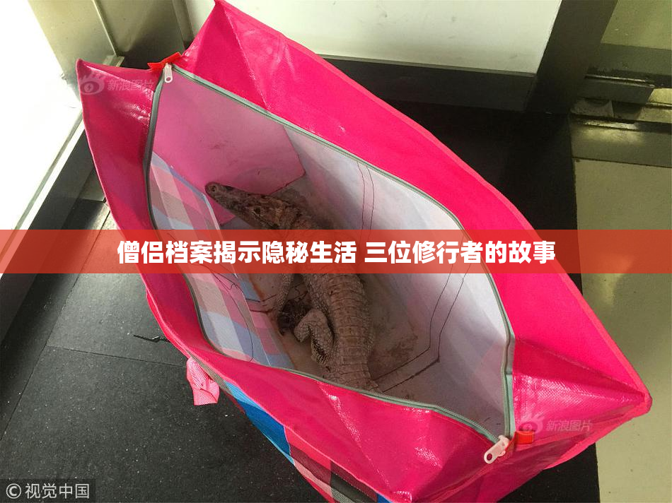僧侣档案揭示隐秘生活 三位修行者的故事