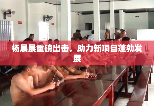 杨晨晨重磅出击，助力新项目蓬勃发展