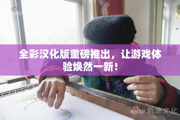 全彩汉化版重磅推出，让游戏体验焕然一新！
