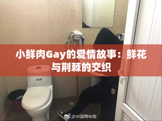 小鲜肉Gay的爱情故事：鲜花与荆棘的交织