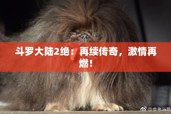 斗罗大陆2绝：再续传奇，激情再燃！