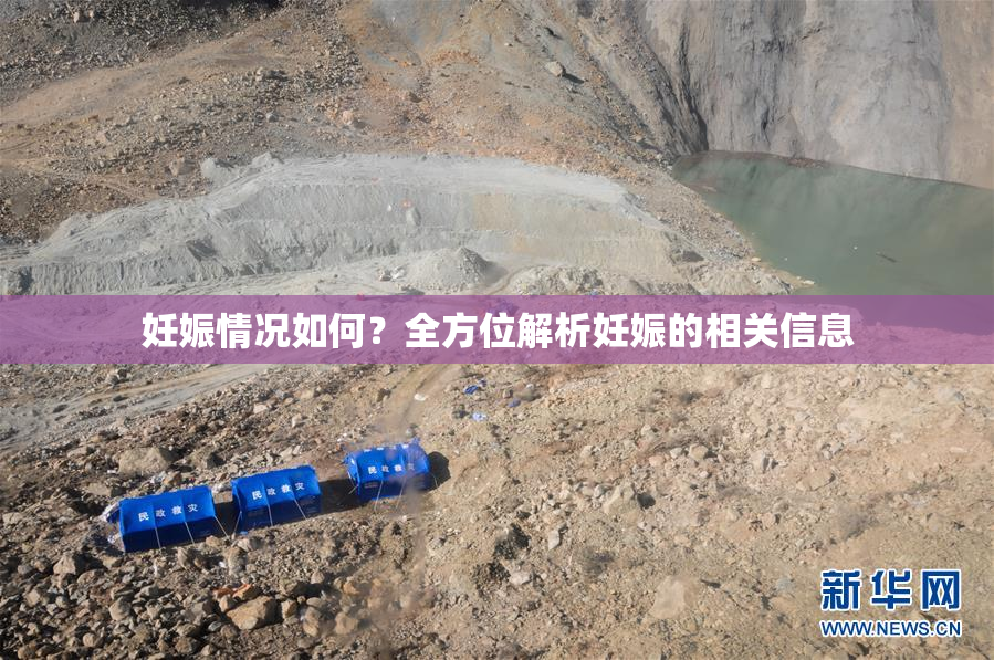 妊娠情况如何？全方位解析妊娠的相关信息