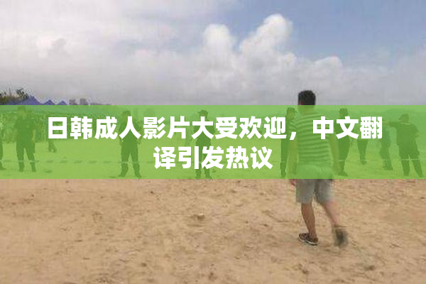 日韩成人影片大受欢迎，中文翻译引发热议
