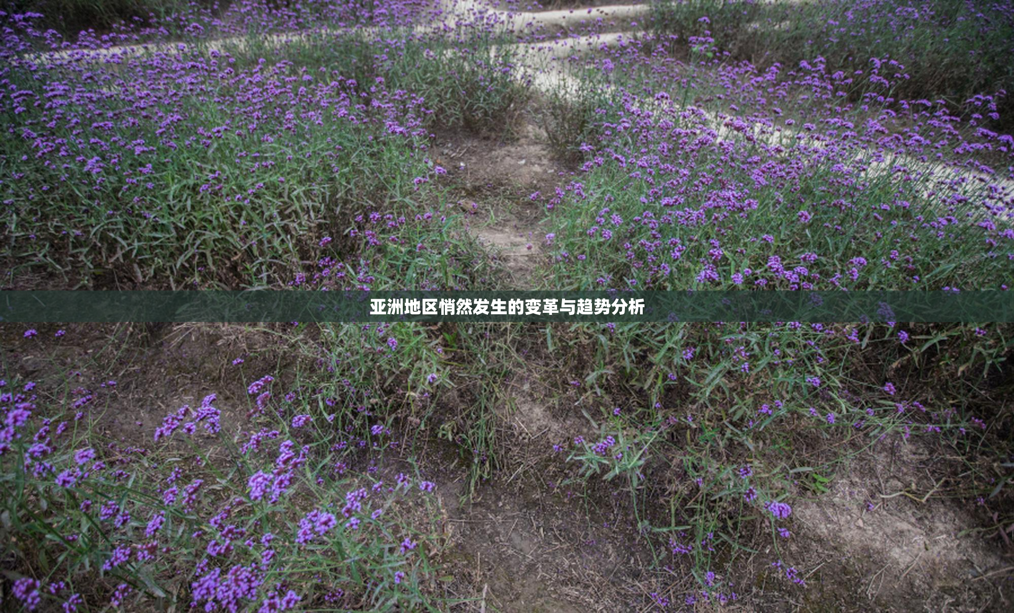 亚洲地区悄然发生的变革与趋势分析