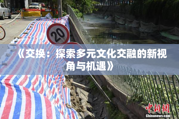 《交换：探索多元文化交融的新视角与机遇》