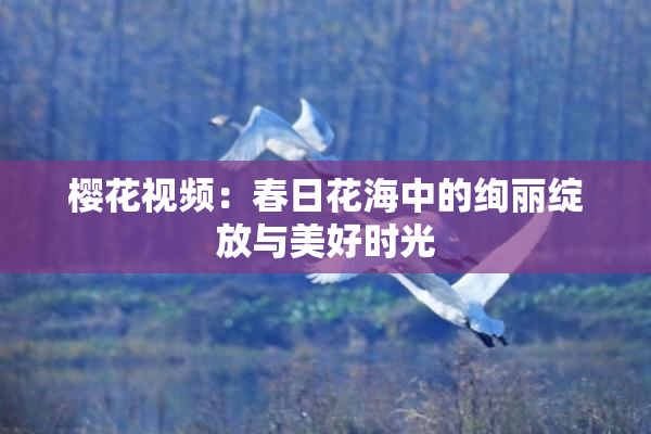 樱花视频：春日花海中的绚丽绽放与美好时光