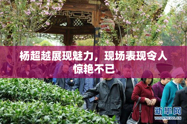 杨超越展现魅力，现场表现令人惊艳不已