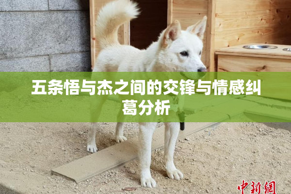 五条悟与杰之间的交锋与情感纠葛分析