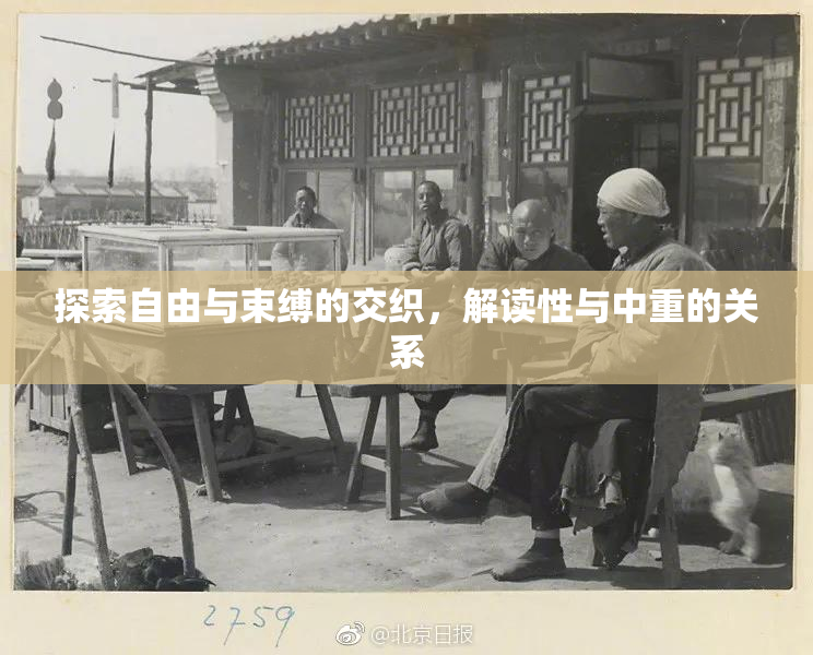 探索自由与束缚的交织，解读性与中重的关系