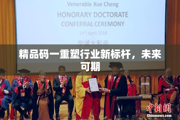 精品码一重塑行业新标杆，未来可期