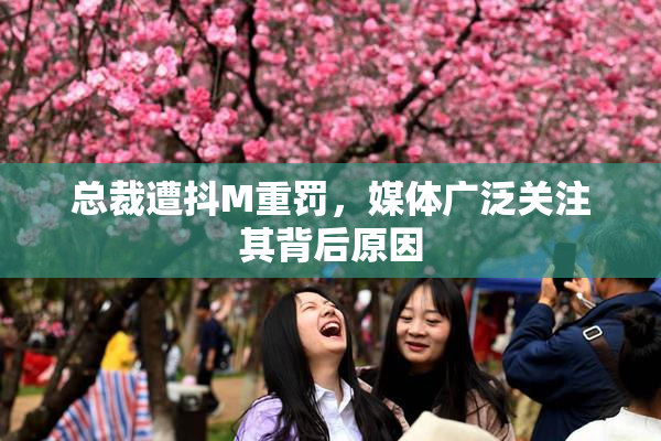 总裁遭抖M重罚，媒体广泛关注其背后原因