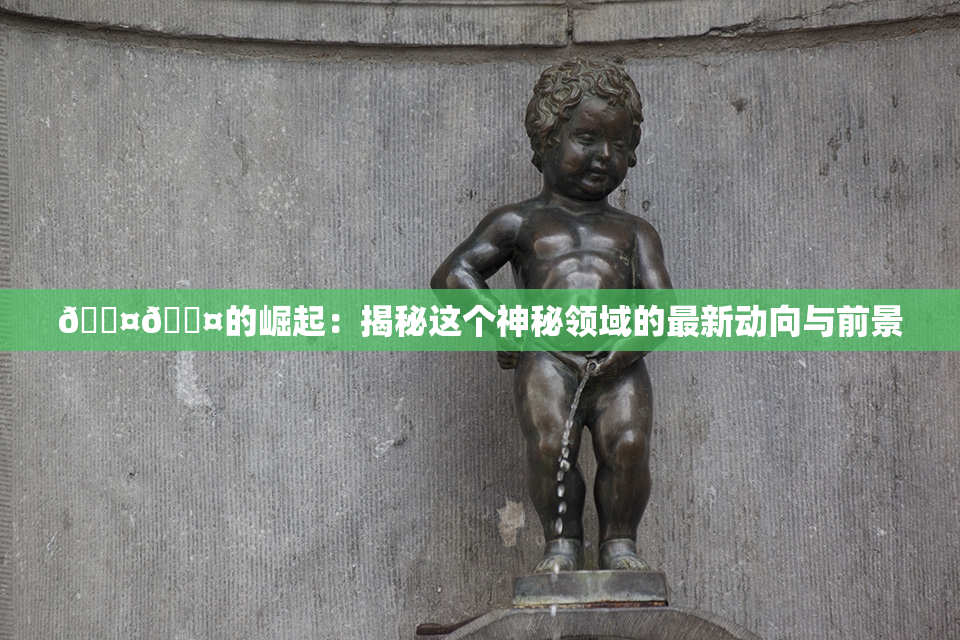 🐤🐤的崛起：揭秘这个神秘领域的最新动向与前景