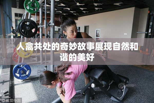 人禽共处的奇妙故事展现自然和谐的美好
