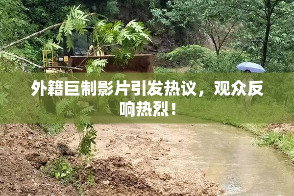 外籍巨制影片引发热议，观众反响热烈！