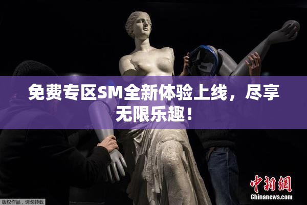 免费专区SM全新体验上线，尽享无限乐趣！