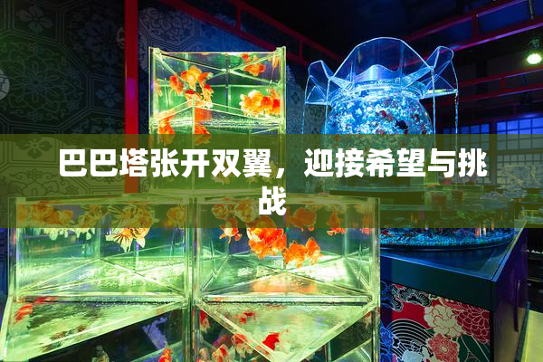 巴巴塔张开双翼，迎接希望与挑战