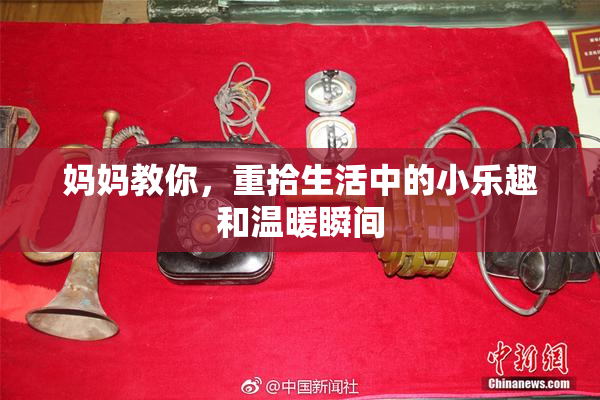 妈妈教你，重拾生活中的小乐趣和温暖瞬间