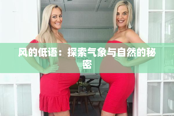风的低语：探索气象与自然的秘密