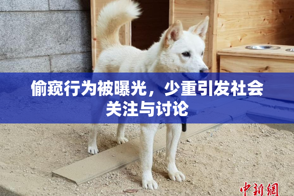 偷窥行为被曝光，少重引发社会关注与讨论