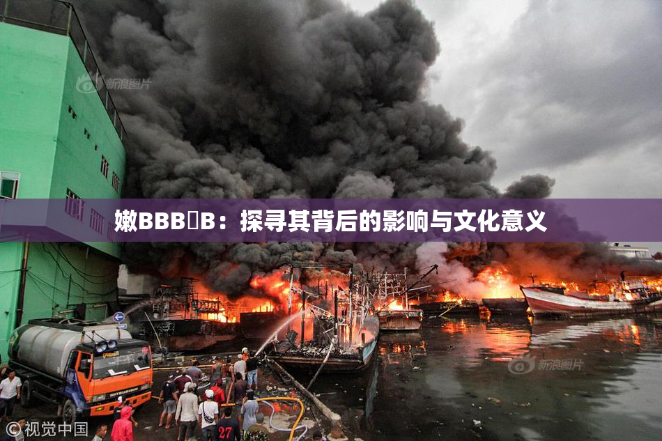 嫩BBB槡B：探寻其背后的影响与文化意义
