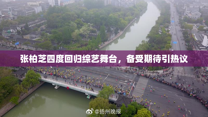 张柏芝四度回归综艺舞台，备受期待引热议
