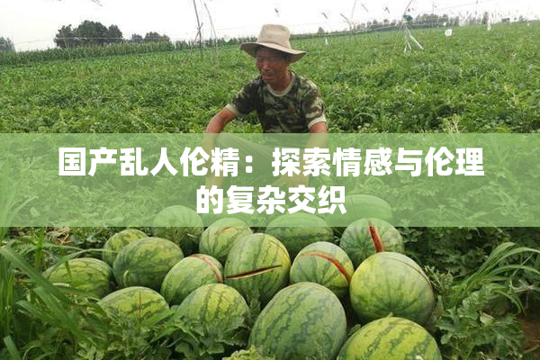 国产乱人伦精：探索情感与伦理的复杂交织