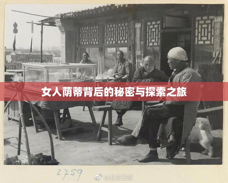 女人荫蒂背后的秘密与探索之旅