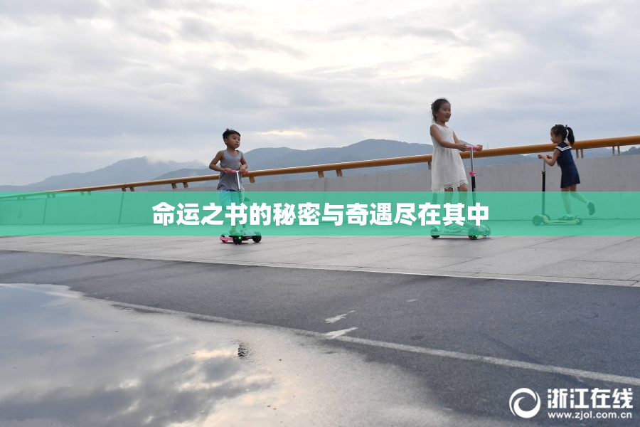 命运之书的秘密与奇遇尽在其中