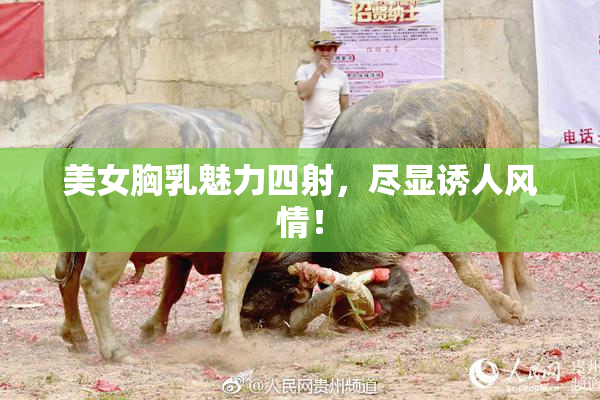 美女胸乳魅力四射，尽显诱人风情！