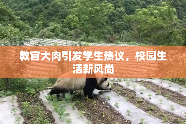 教官大肉引发学生热议，校园生活新风尚