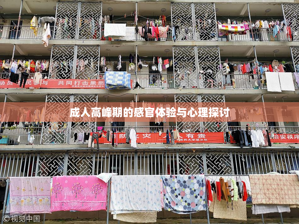成人高峰期的感官体验与心理探讨