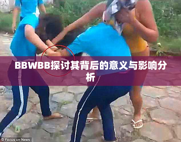 BBWBB探讨其背后的意义与影响分析