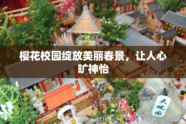樱花校园绽放美丽春景，让人心旷神怡