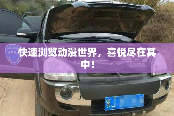 快速浏览动漫世界，喜悦尽在其中！